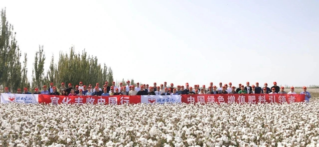 宜化豐收中國行！新疆棉花大型測產(chǎn)觀摩會成功舉行(圖1)